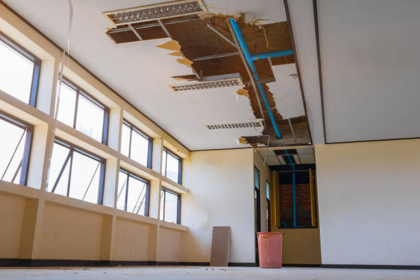 Best Water damage cleanup near me  in Los Angeles, CA