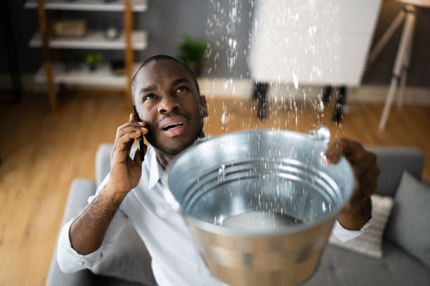 Best 24-hour water damage restoration  in Los Angeles, CA