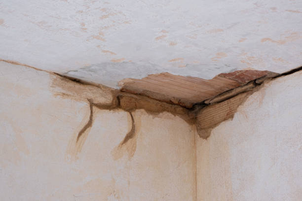 Best Flood damage cleanup  in Los Angeles, CA