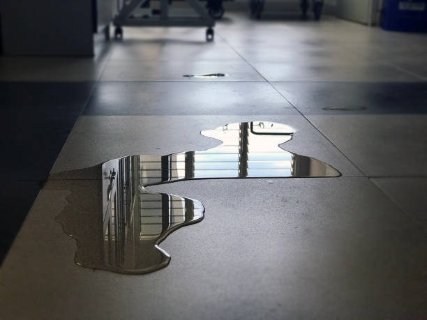 Best Water damage contractors near me  in Los Angeles, CA