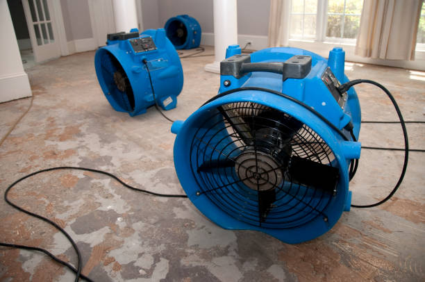 Best 24-hour water damage restoration  in Los Angeles, CA