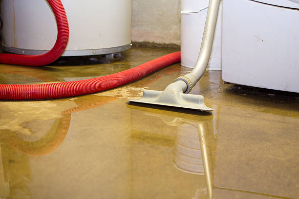 Best Local water damage restoration  in Los Angeles, CA
