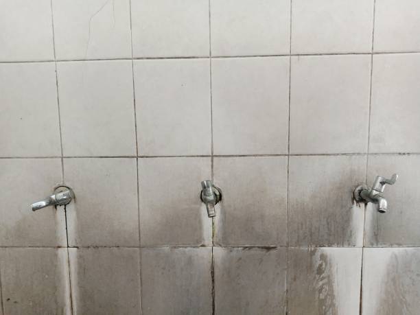 Best Emergency water damage restoration  in Los Angeles, CA